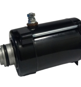 MOTOR DE ARRANQUE AKT 125 SL/NKD/XM 180